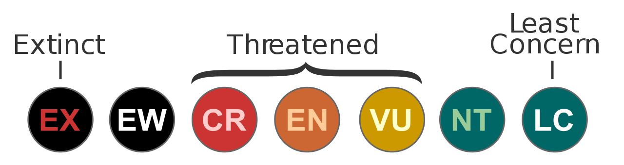 1280px-Status_iucn3_1_svg 1280px-Status_iucn3_1_svg