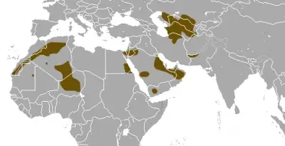 hw0ImlsXOP3sF0lgyJKm