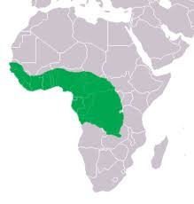 Map%202 Map%202