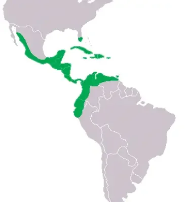 vsgMpT9a88Gn7rNl84Kf vsgMpT9a88Gn7rNl84Kf