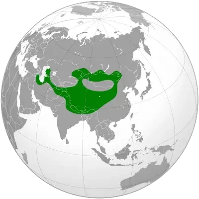 l7WiHADBX5sRxBHHaTtS